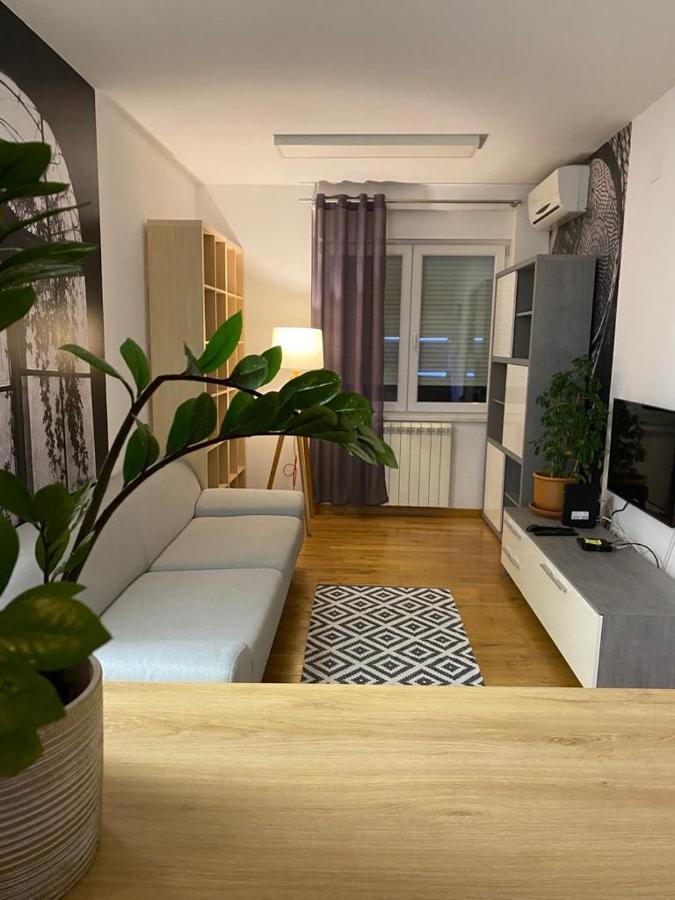 Benvenuti Apartments Belgrade Exterior photo